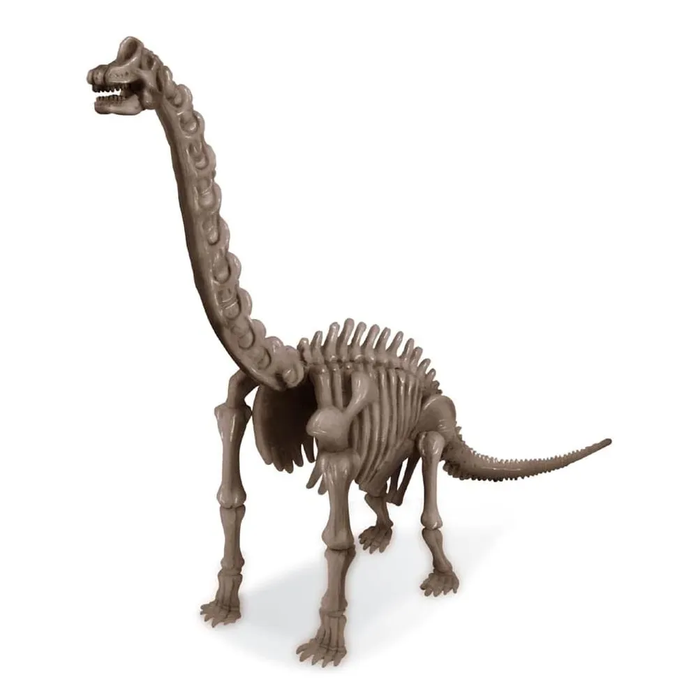 4m Toys Dig A Dinosaur - Brachiosaurus