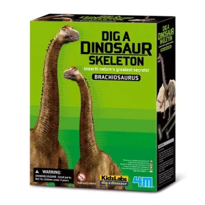 4m Toys Dig A Dinosaur - Brachiosaurus