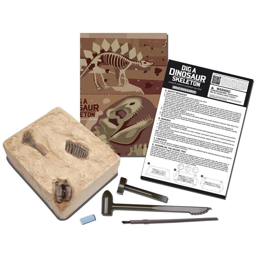 4m Toys Dig A Dinosaur - Brachiosaurus