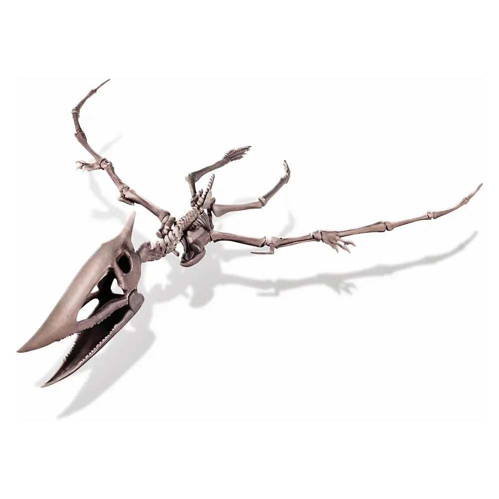 4m Toys Dig A Dinosaur - Pteranodon