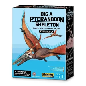 4m Toys Dig A Dinosaur - Pteranodon