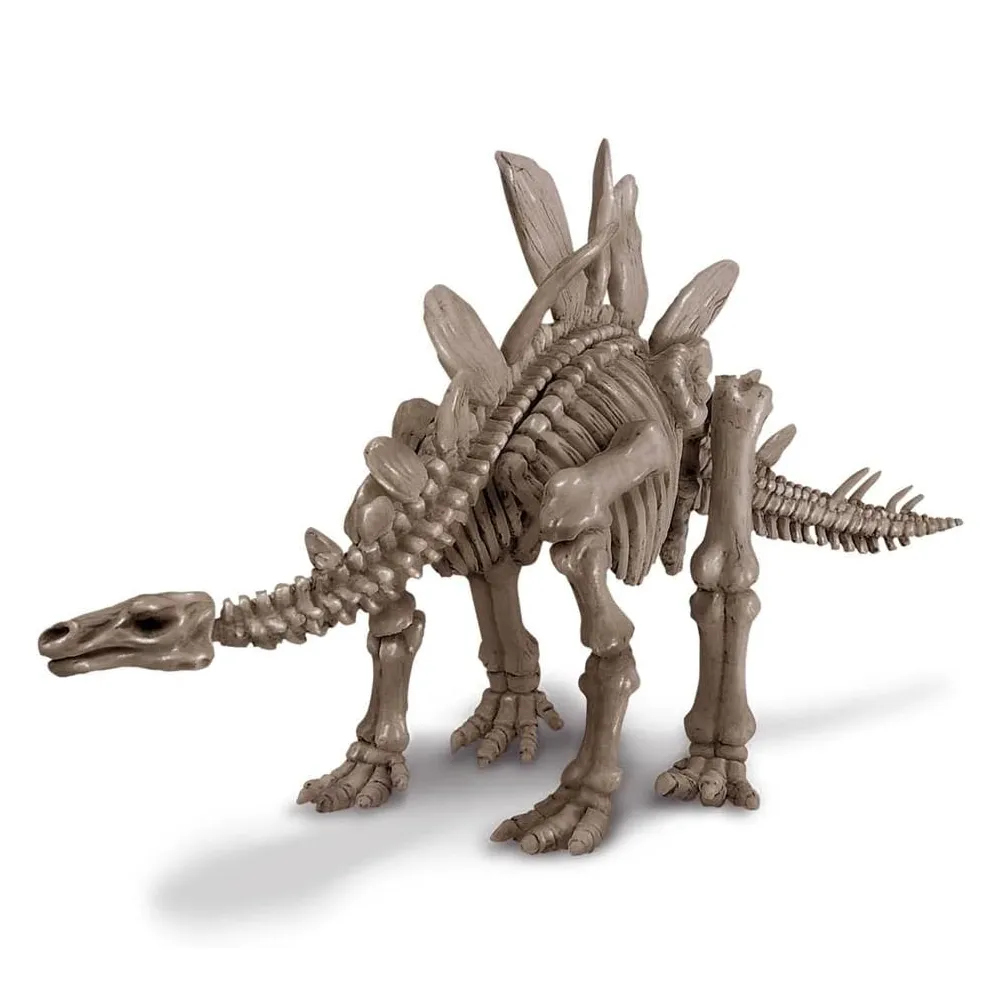 4m Toys Dig A Dinosaur - Stegosaurus