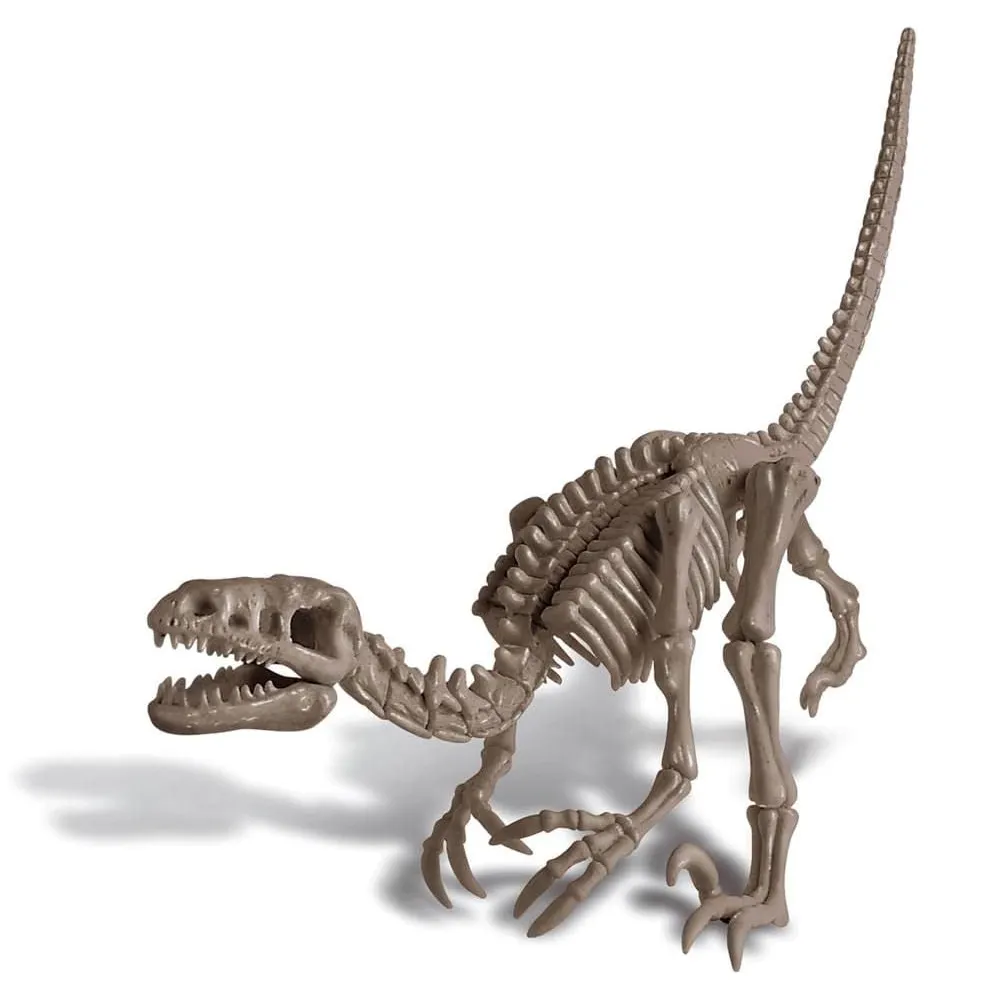 4m Toys Dig A Dinosaur - Velociraptor
