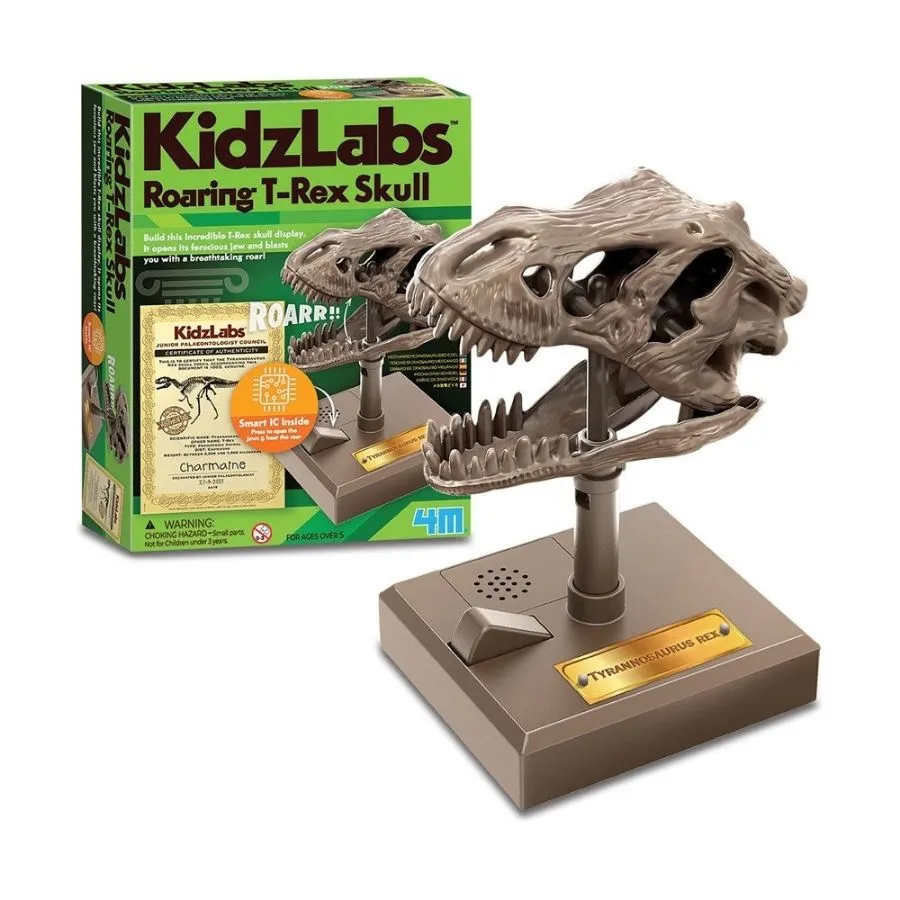 4M Toys - KidzLabs Roaring T-Rex Skull