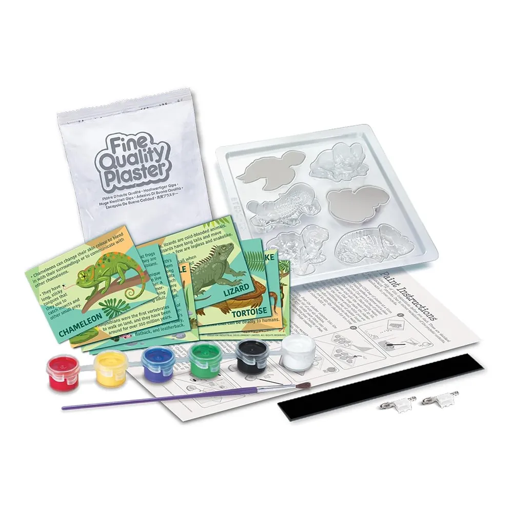4m Toys Mould & Paint - Reptiles and Amphibians
