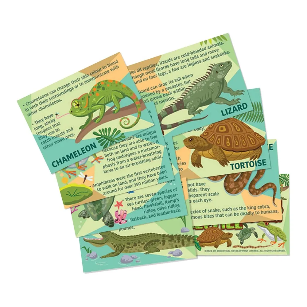 4m Toys Mould & Paint - Reptiles and Amphibians