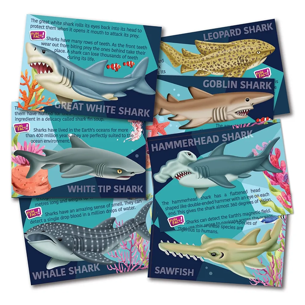 4m Toys Mould & Paint - Sharks