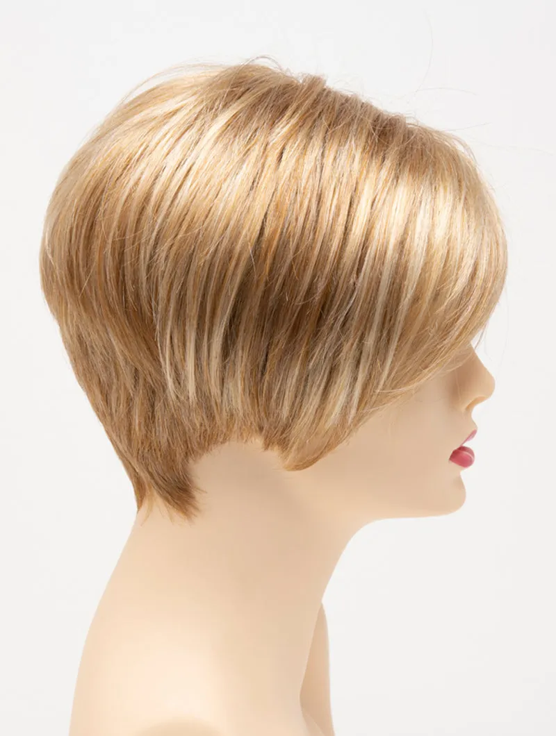 Accessories_Envy_Wigs Amy