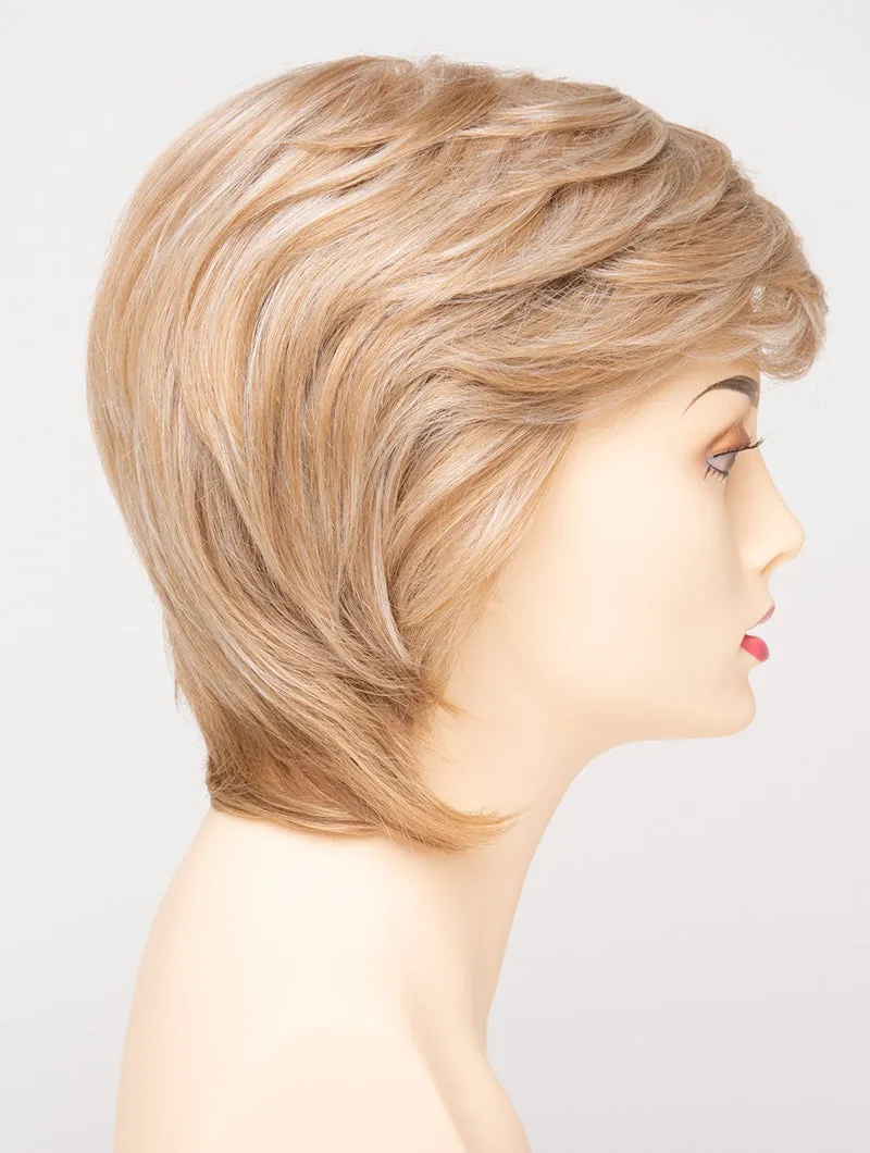 Accessories_Envy_Wigs Coti