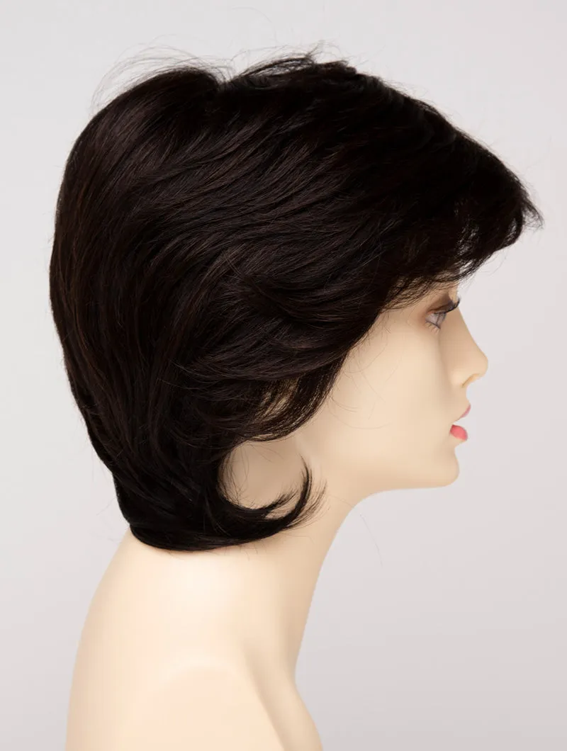 Accessories_Envy_Wigs Coti
