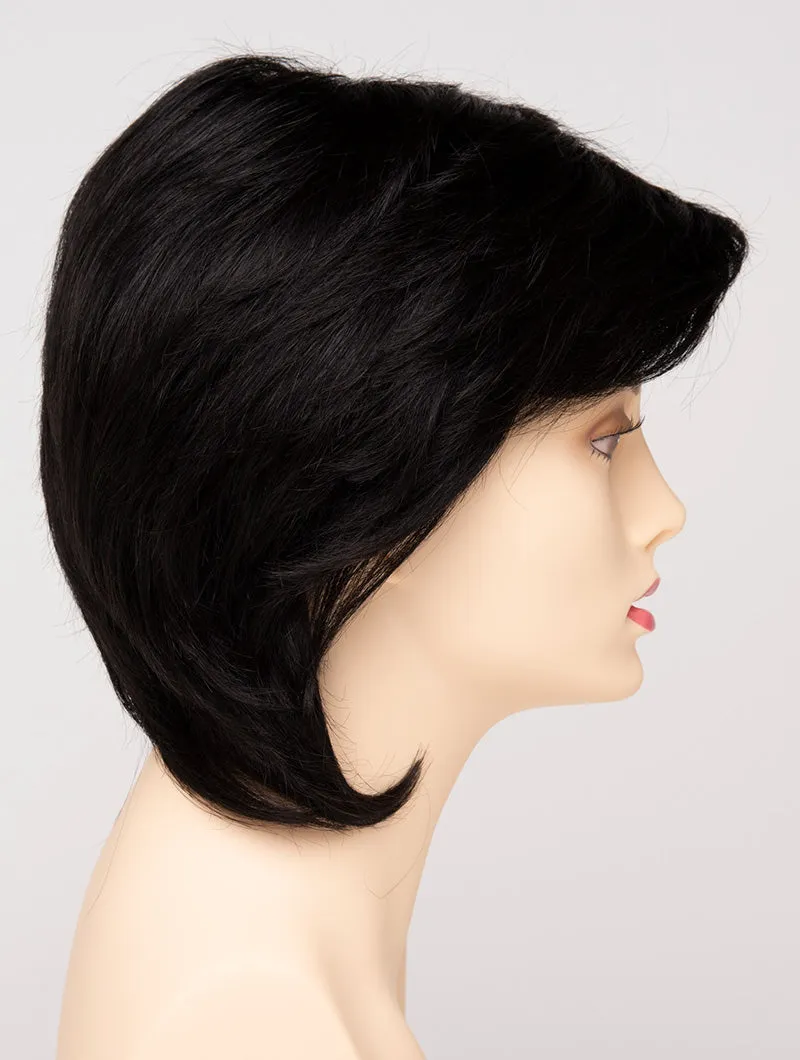 Accessories_Envy_Wigs Coti