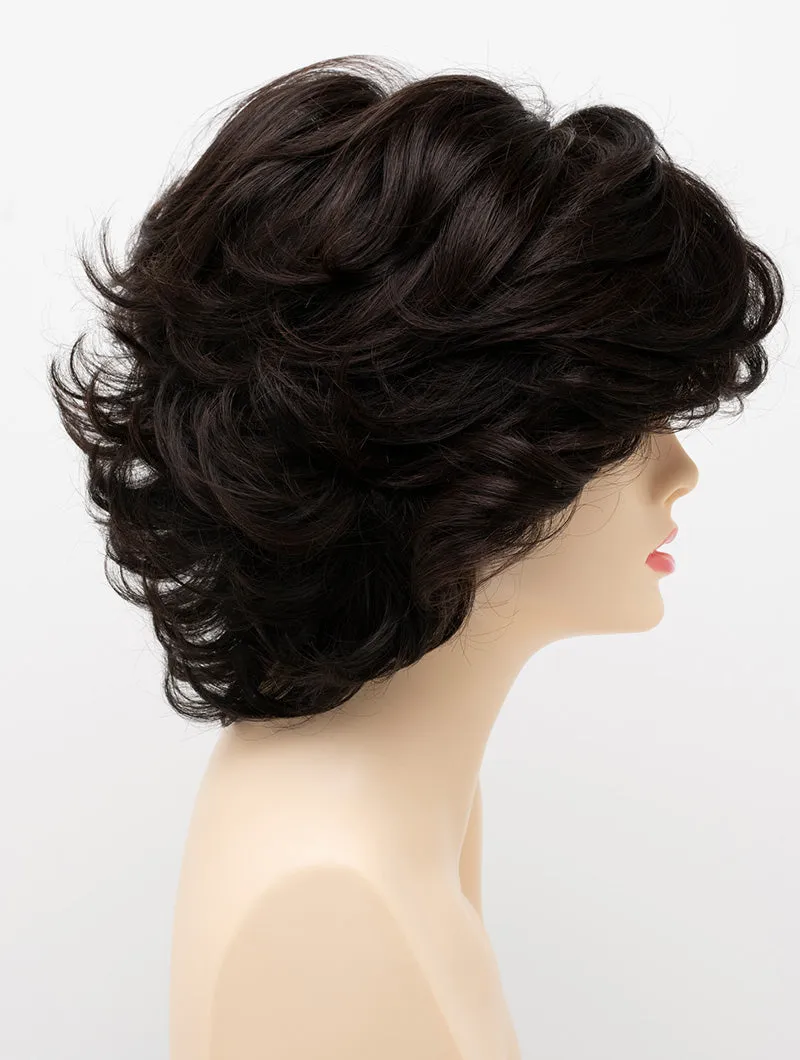 Accessories_Envy_Wigs Kylie
