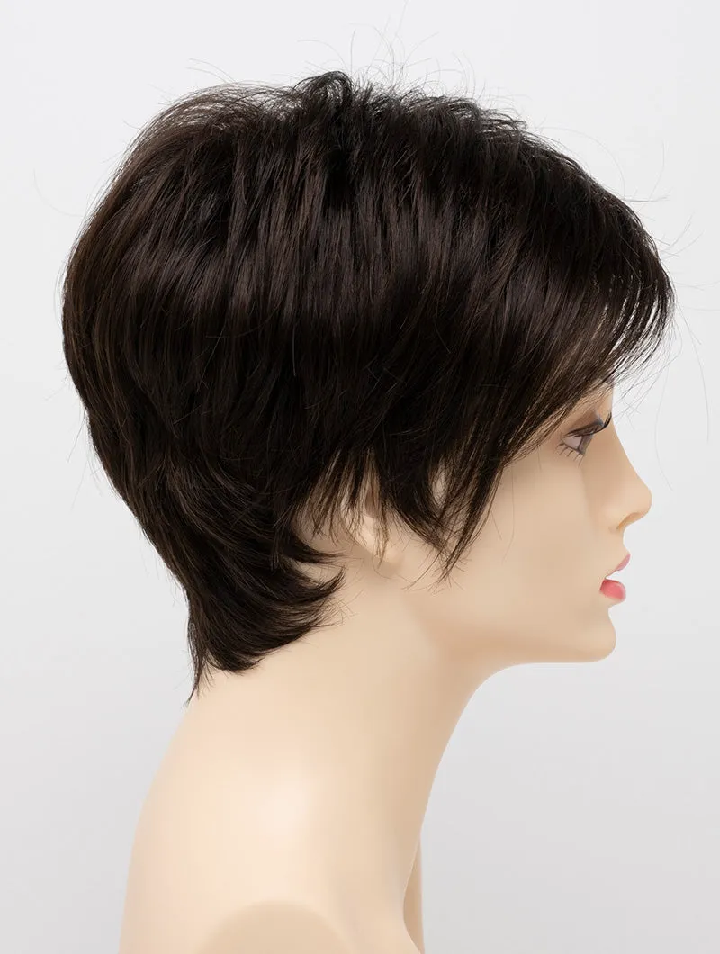 Accessories_Envy_Wigs Shari Large