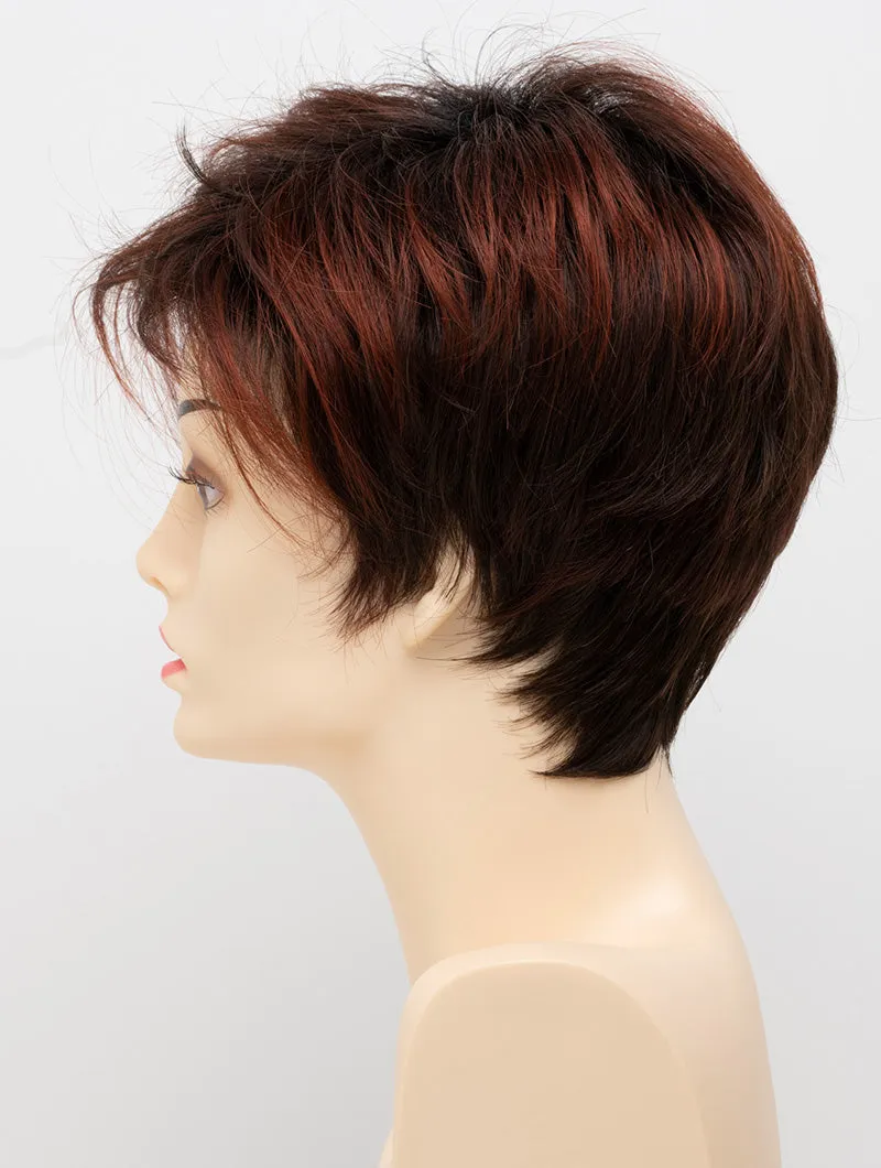 Accessories_Envy_Wigs Shari Large