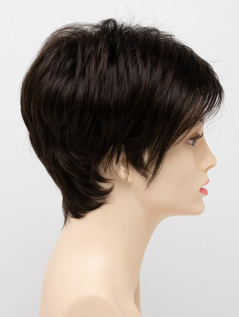 Accessories_Envy_Wigs Shari