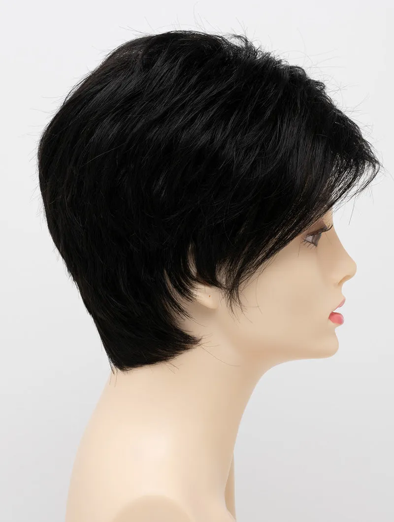 Accessories_Envy_Wigs Shari