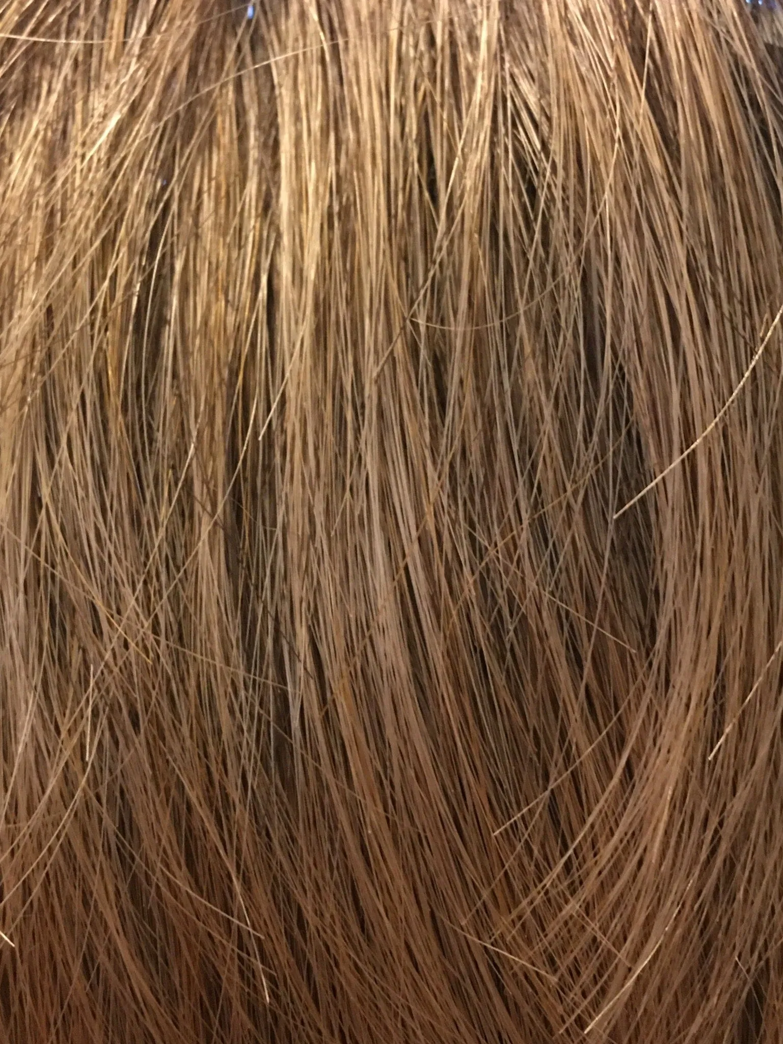 Accessories_Envy_Wigs Spiky Topper by Envy | Synthetic