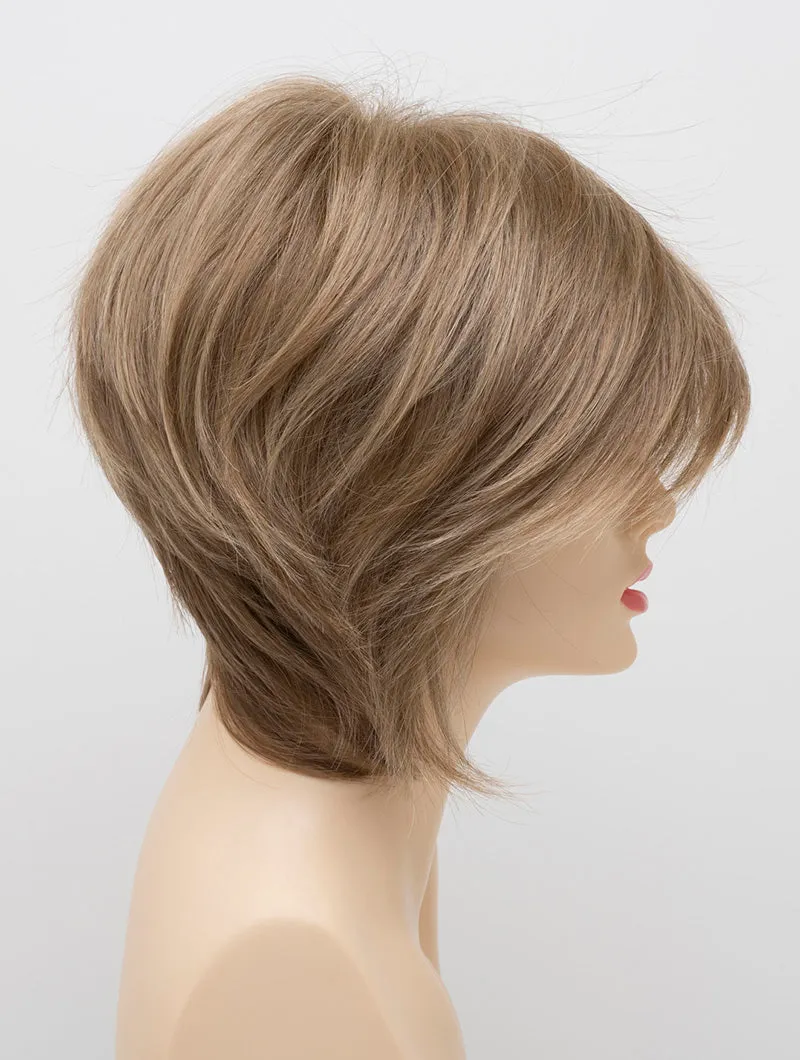 Accessories_Envy_Wigs Whitney