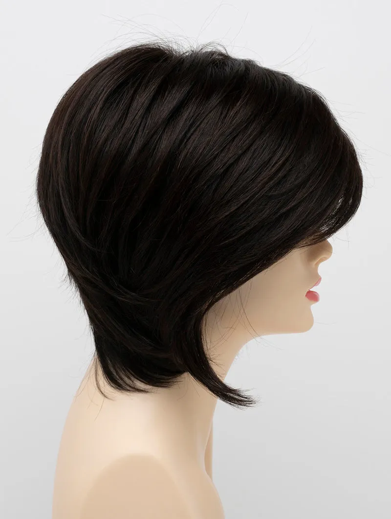 Accessories_Envy_Wigs Whitney