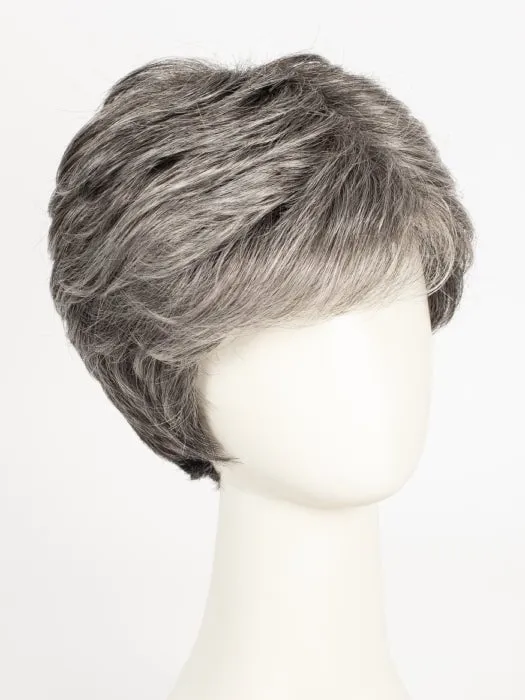 Accessories_Gabor_Wigs Hairpieces Aspire | Synthetic Wig (Basic Cap)