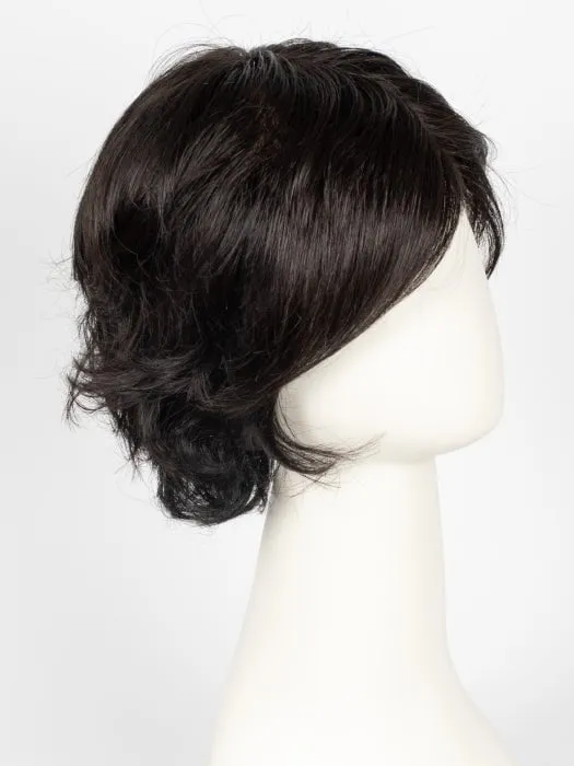 Accessories_Gabor_Wigs Hairpieces Carte Blanche | Synthetic Lace Front Wig (Mono Top)