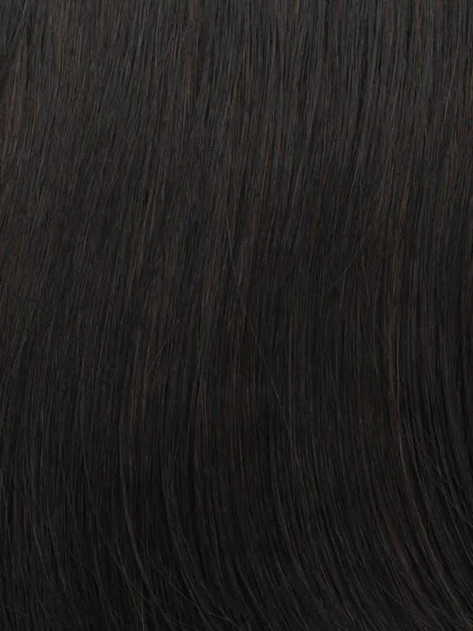 Accessories_Gabor_Wigs Hairpieces Chic Choice | Synthetic Wig (Basic Cap)