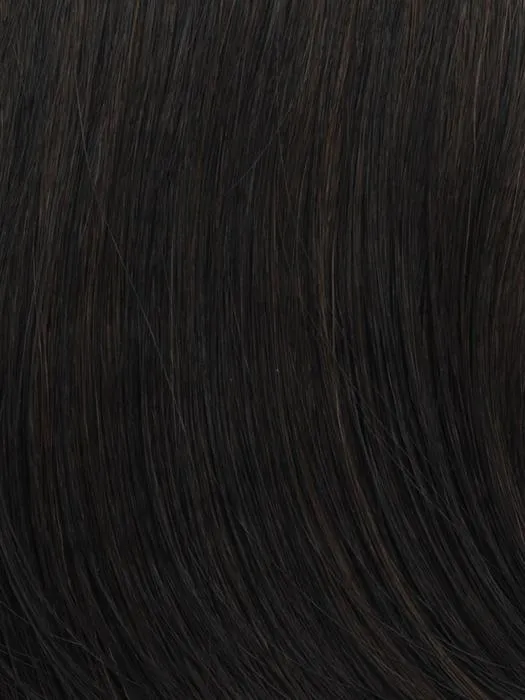 Accessories_Gabor_Wigs Hairpieces Chic Choice | Synthetic Wig (Basic Cap)