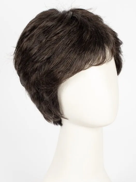 Accessories_Gabor_Wigs Hairpieces Incentive Petite | Synthetic Wig (Mono Top)