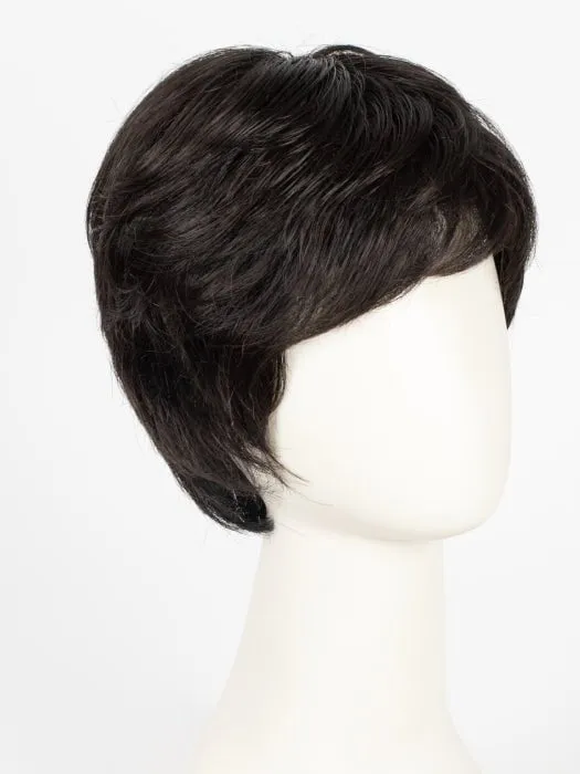Accessories_Gabor_Wigs Hairpieces Incentive Petite | Synthetic Wig (Mono Top)