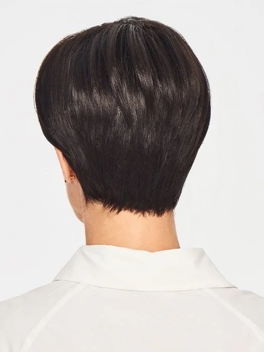 Accessories_Gabor_Wigs Hairpieces Notion | Synthetic Wig (Basic Cap)