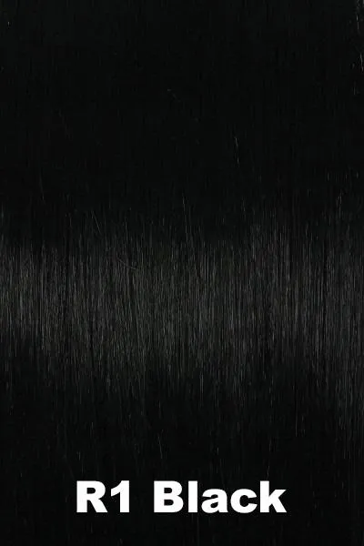 Accessories_Hairdo_Wigs Hairdo Wigs Extensions - 22 Inch Straight Extension (#HX22SE)