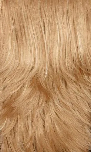 Accessories_Henry Margu_Wigs Detachable Hair Bang by Henry Margu | Synthetic