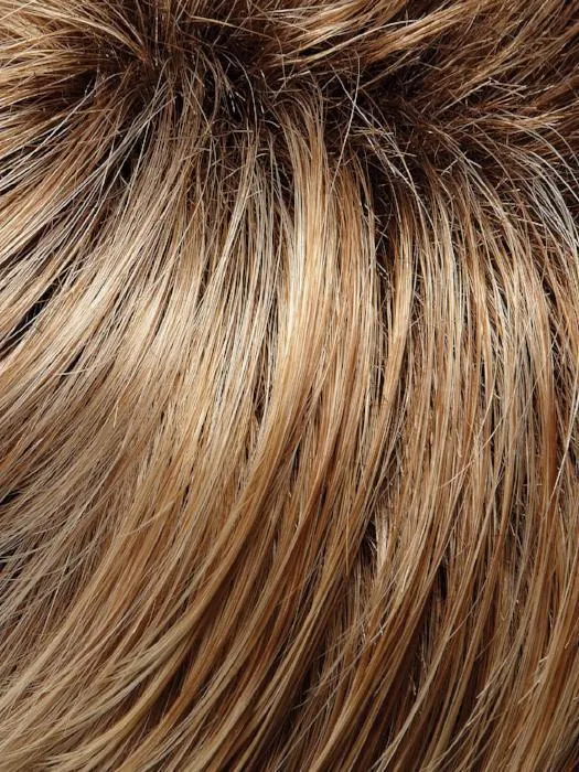 Accessories_Jon Renau_Wigs Hairpieces Toppers Ruby | Synthetic Lace Front Wig (Basic Cap)