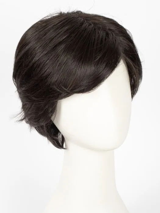 Accessories_Jon Renau_Wigs Hairpieces Toppers Vanessa | HF Synthetic Lace Front Wig (Basic Cap)