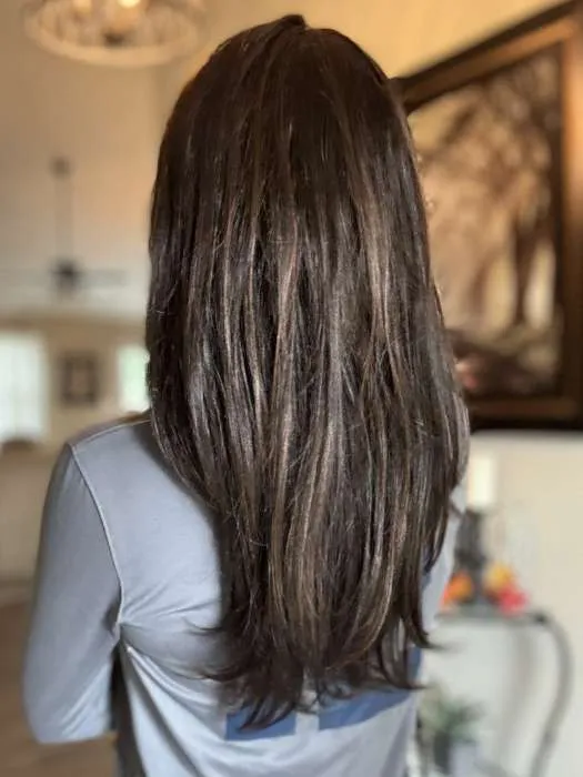 Accessories_Jon Renau_Wigs Hairpieces Toppers Zara | Synthetic Lace Front Wig (Mono Top)