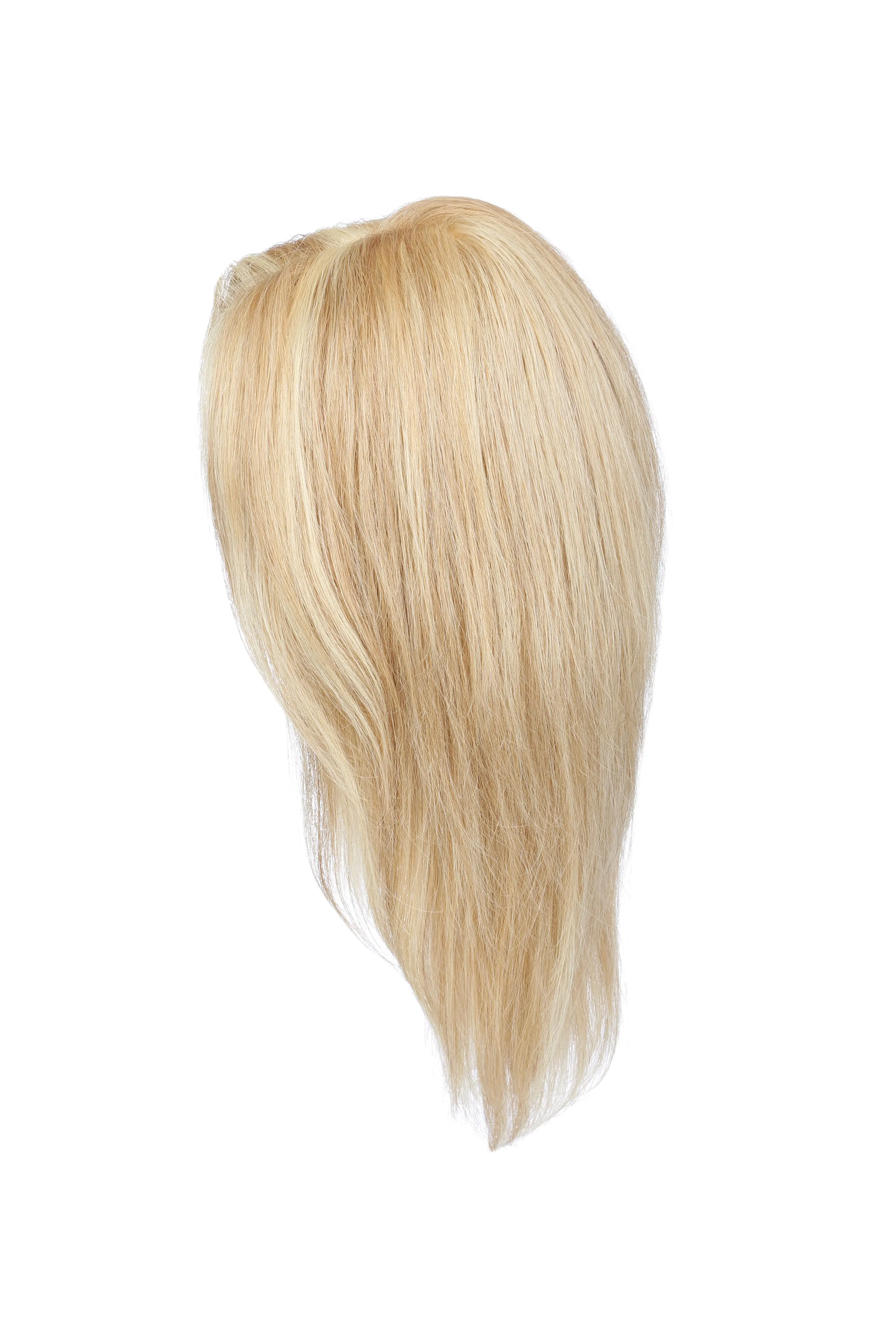Accessories_Raquel Welch_Wigs Bravo