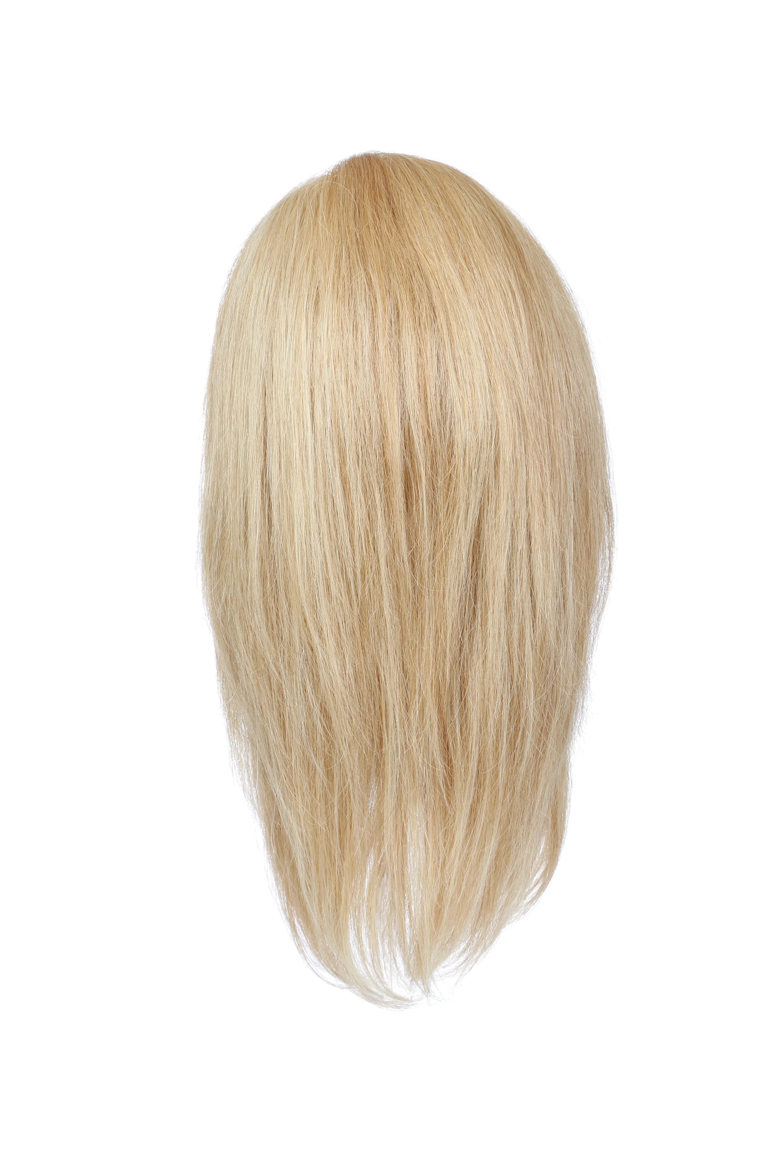Accessories_Raquel Welch_Wigs Bravo