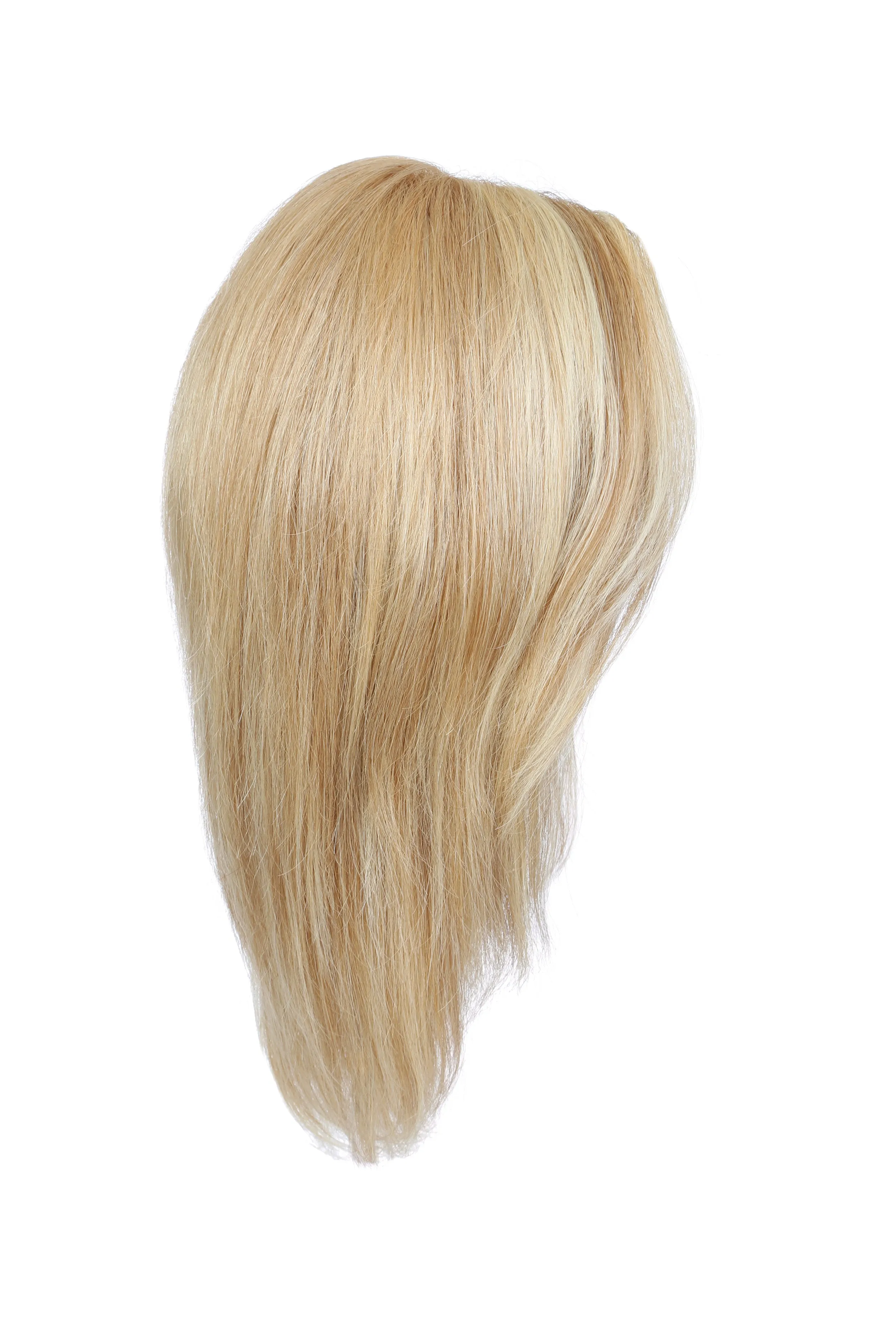 Accessories_Raquel Welch_Wigs Bravo