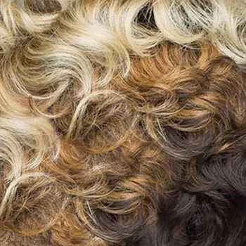 Accessories_Rene Of Paris_Wigs Attitude