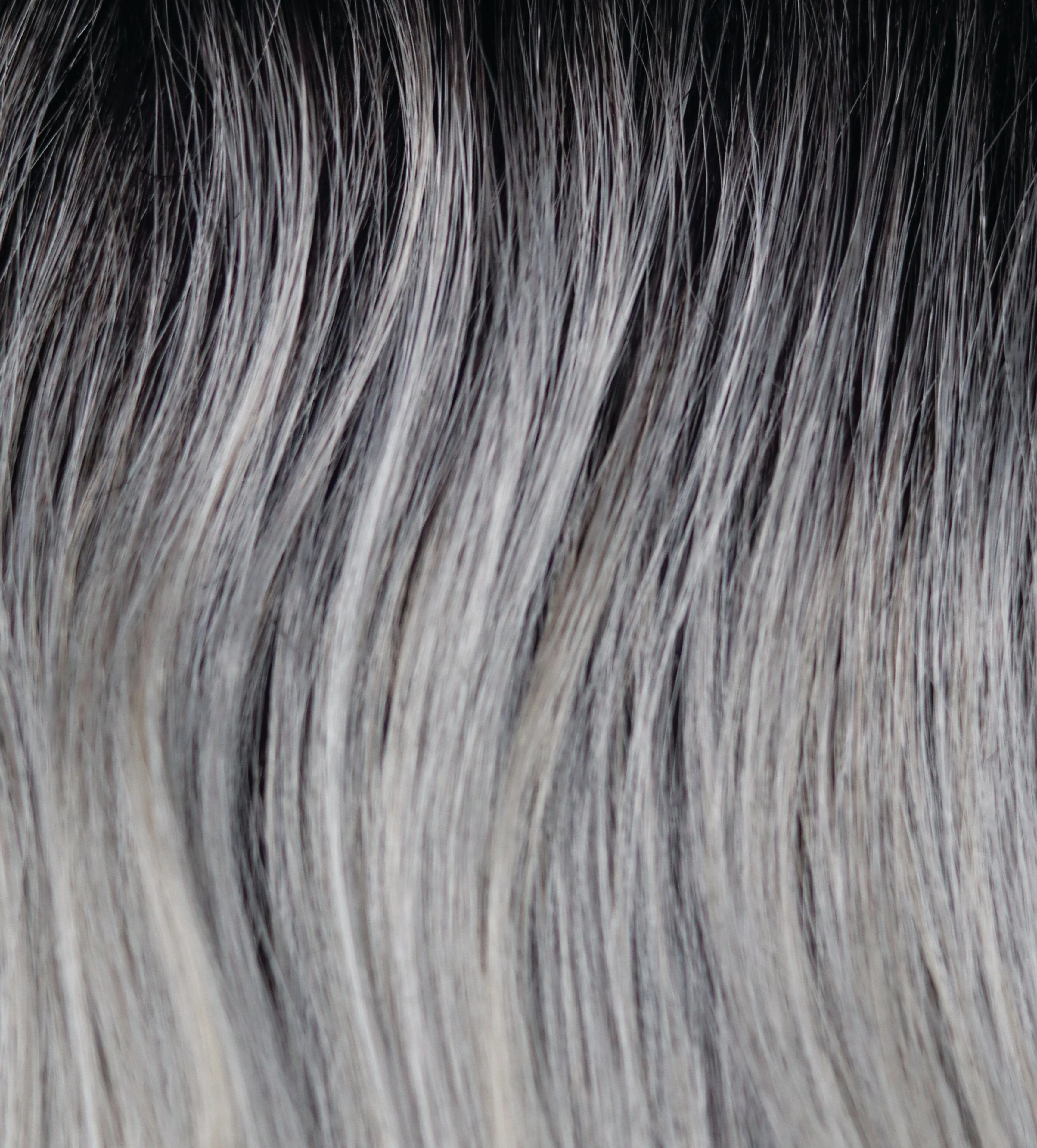 Accessories_Rene of Paris_Wigs Ella Wig by Rene of Paris