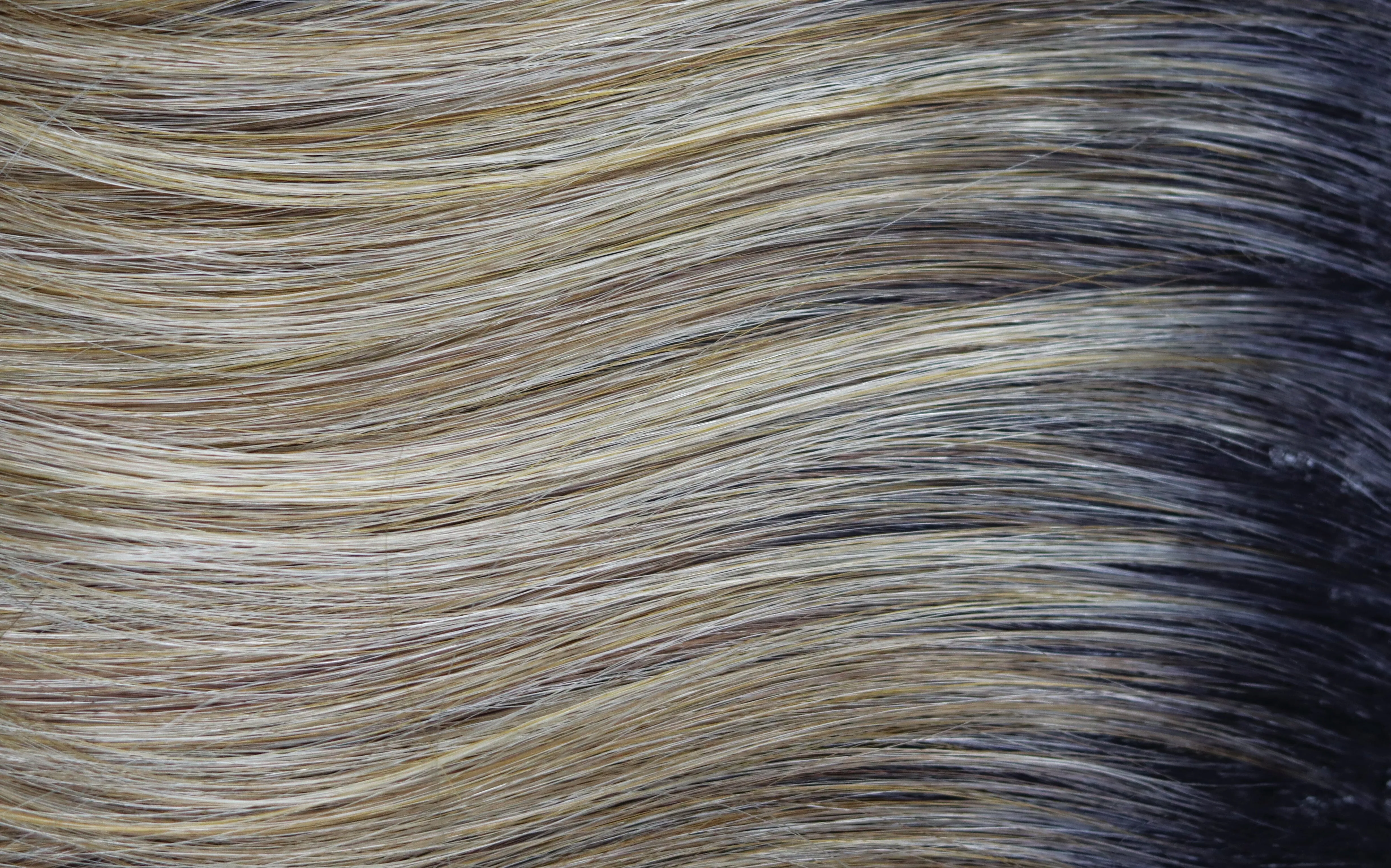 Accessories_Rene of Paris_Wigs Hallie by Rene of Paris | Orchid Collection