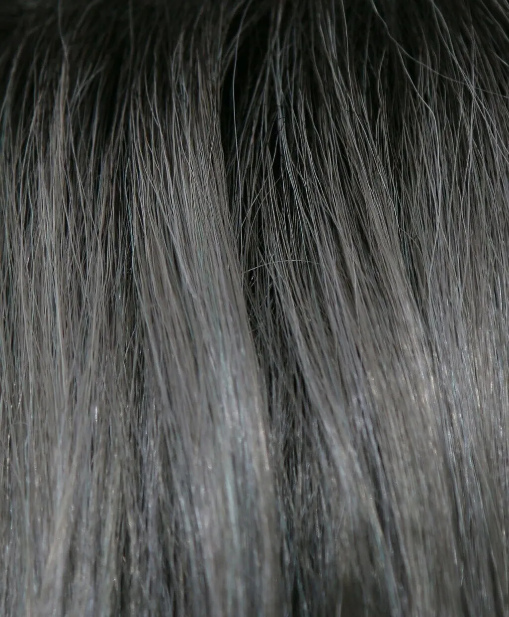 Accessories_Rene of Paris_Wigs Nico Synthetic Wig by Rene of Paris