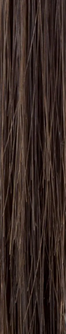 Accessories_Rene of Paris_Wigs Nico Synthetic Wig by Rene of Paris