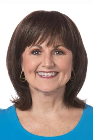 Accessories_Toni Brattin_Wigs Perfect Topper Hairpiece by Toni Brattin | Heat Friendly Synthetic