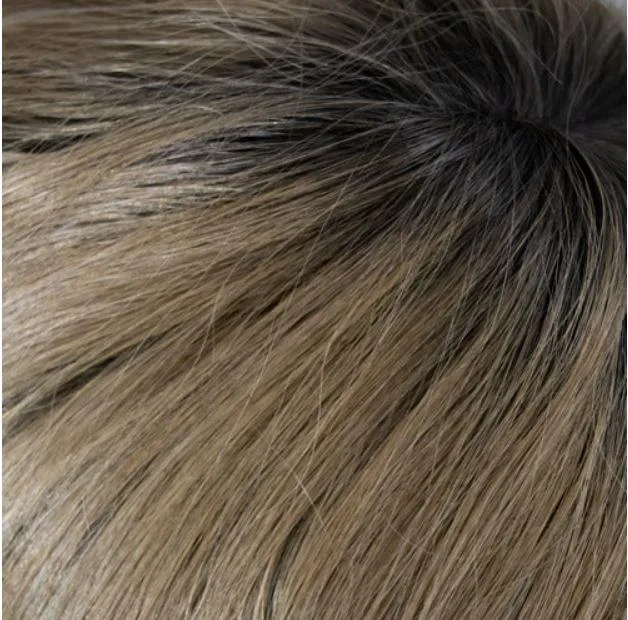 Accessories_Wigpro Collection_Wigs 121B Liz B by WIGPRO -  Mono Top, Lace Front Wig