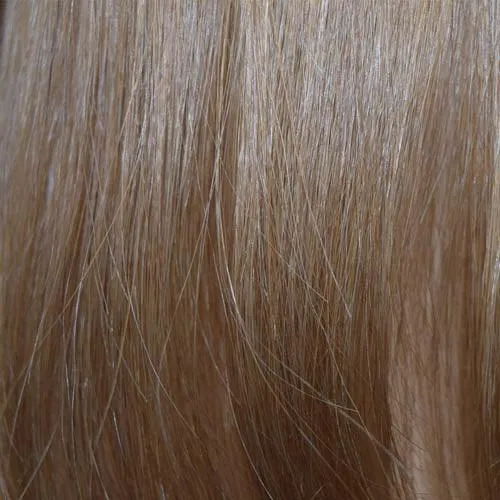 Accessories_Wigpro Collection_Wigs 487C Clip-On 12" Hairpiece by WigPro | Human Hair Extension