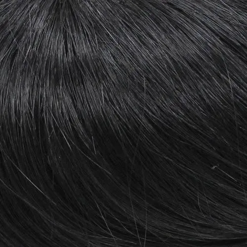Accessories_Wigpro Collection_Wigs 487C Clip-On 12" Hairpiece by WigPro | Human Hair Extension