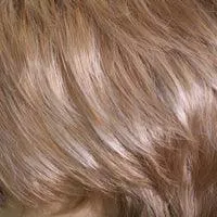 Accessories_Wigpro Collection_Wigs 811 Pony Swing II by WigPro: Synthetic Hair Piece