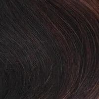 Accessories_Wigpro Collection_Wigs BA814 Crown Hairpiece by WigPro | Bali Synthetic Hair Pieces