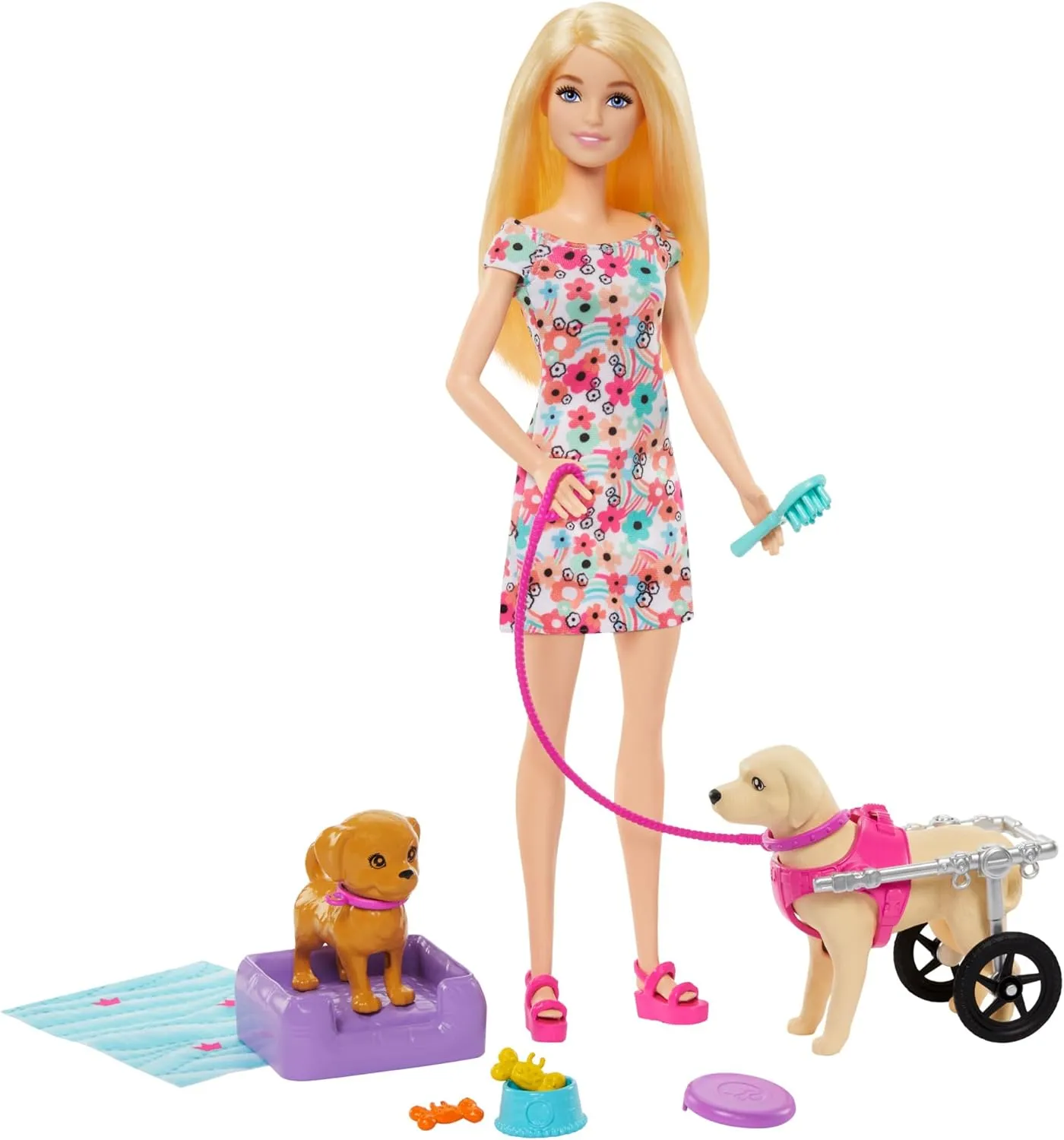 Barbie Toys Barbie Doll with 2 Toy Dogs & Pet Accessories - Includes Removable Wheelchair for Ages 3 